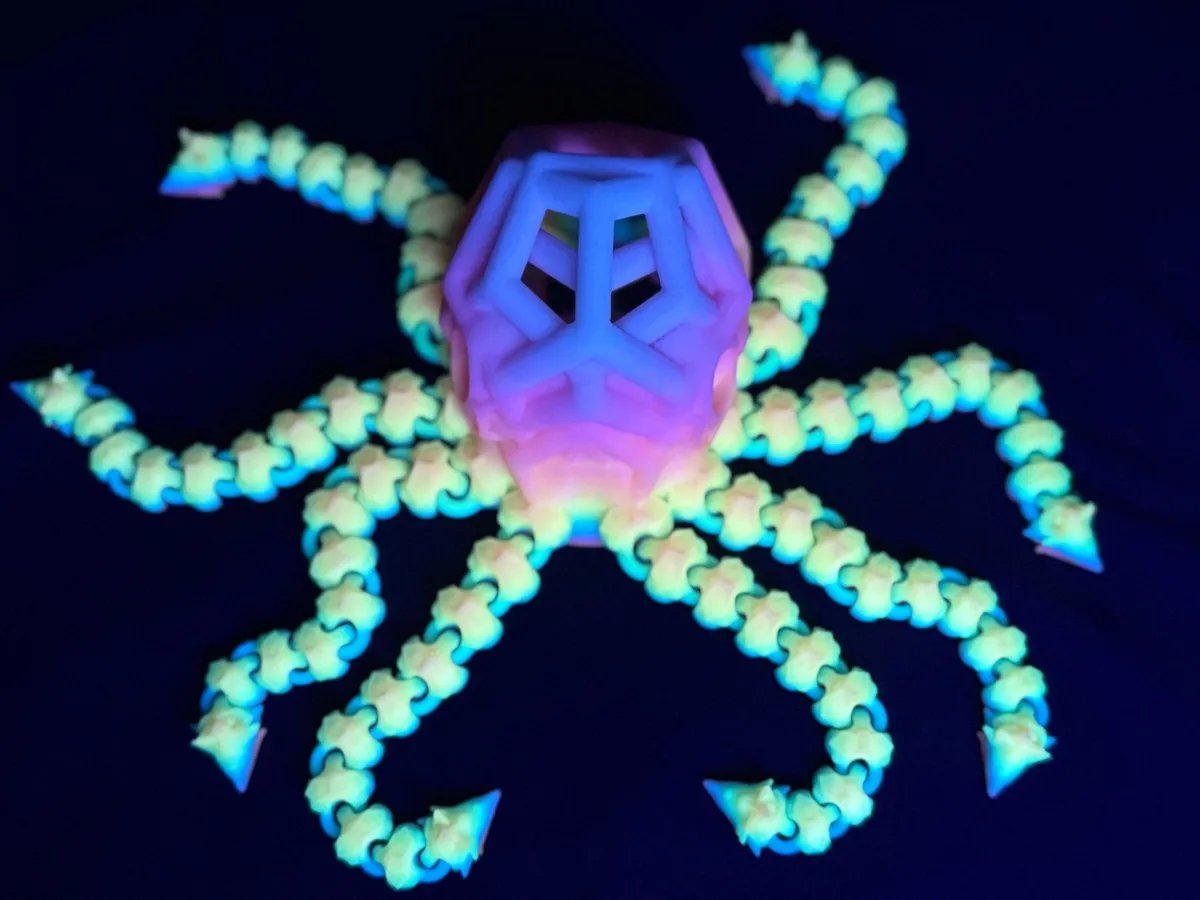 Octopus